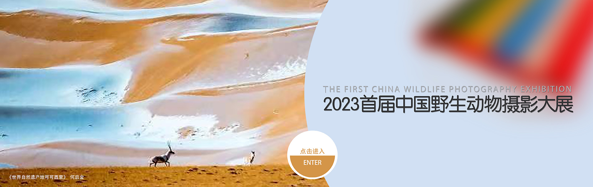 2023首届中国野生动物摄影大展